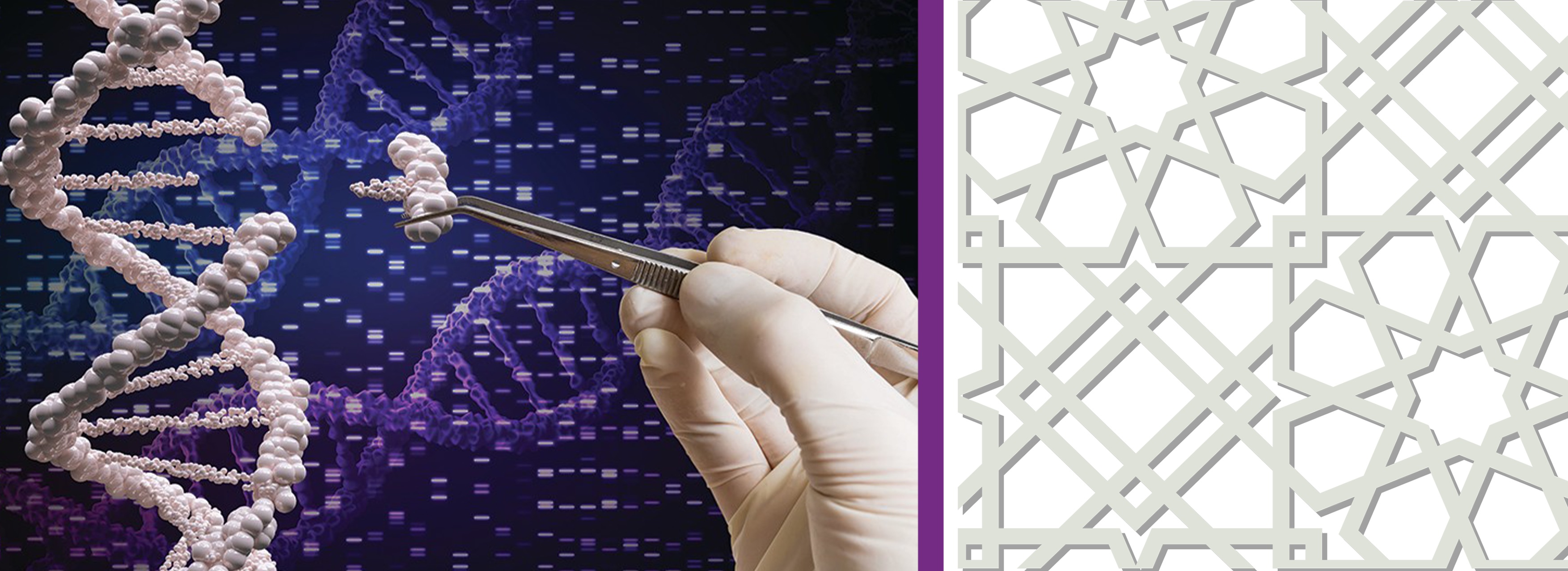 Application is now OPEN! CILE Virtual Winter School: Genetics, Genomics & Ethics (GenEthics) and the Islamic Tradition