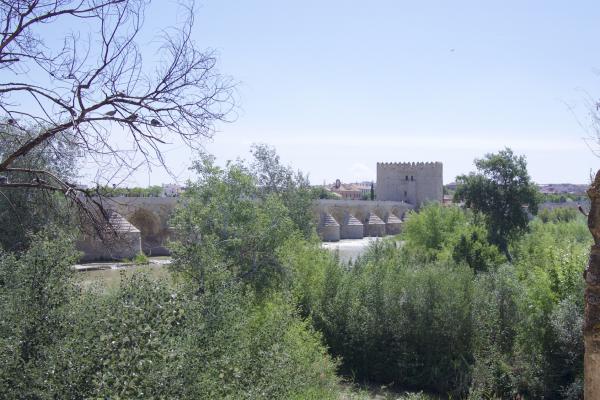 05/2017 Córdoba, Spain