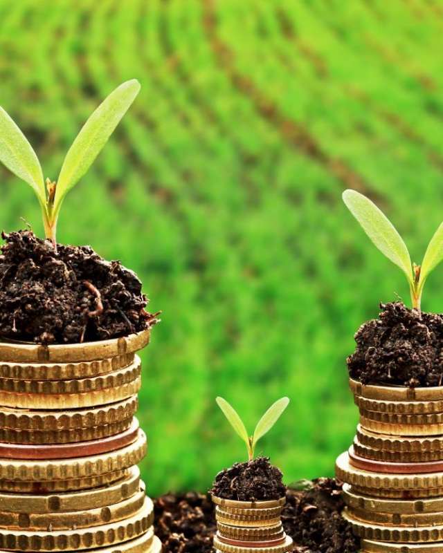 التمويل الإسلامي المعاصر (الأزمة المعرفية والتطبيقية)