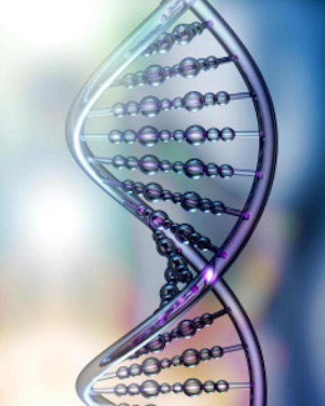 Contemporary Islamic Bioethics: Conflating the "Biomedical" and the "Religious”