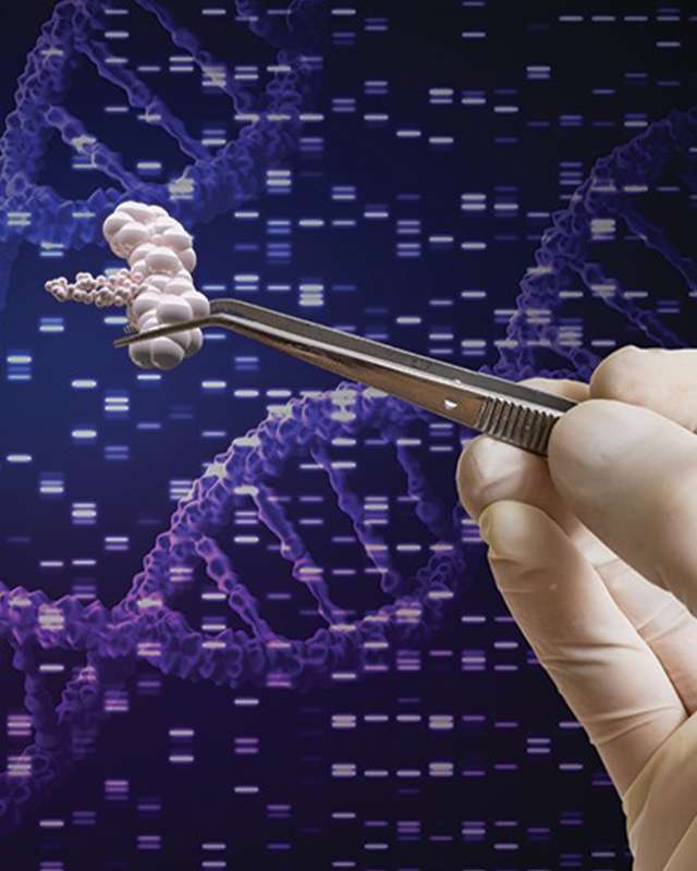 Application is now OPEN! CILE Virtual Winter School: Genetics, Genomics & Ethics (GenEthics) and the Islamic Tradition