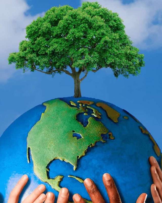 10/2021 Reassembling Creation: Green Ethics (GE) and Scholarly Disciplines in the Islamic Tradition