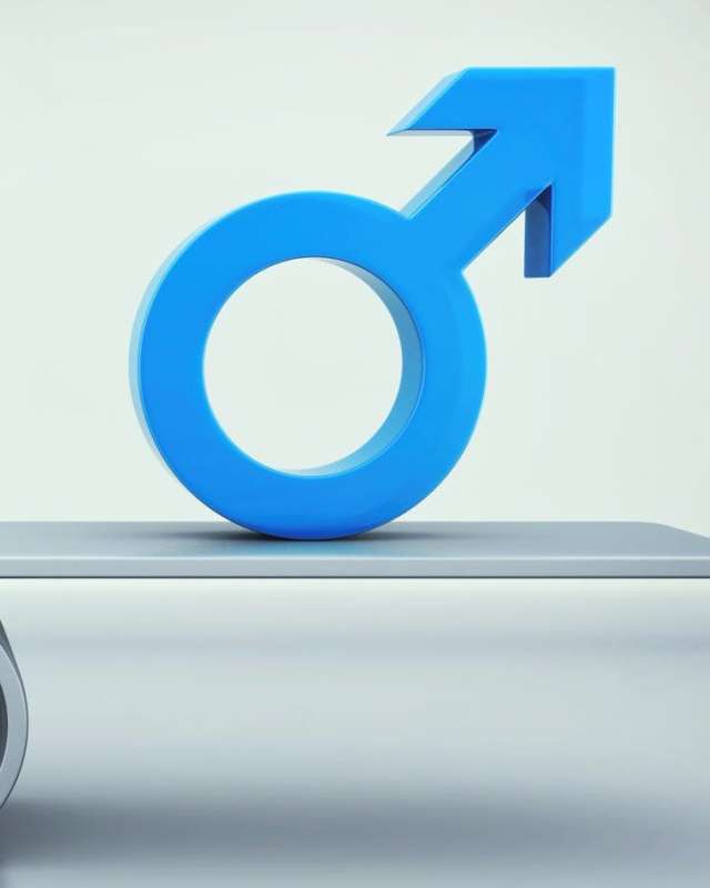 “And the Male Is Not Like the Female” Rethinking Male-Female Differences in the Islamic Tradition