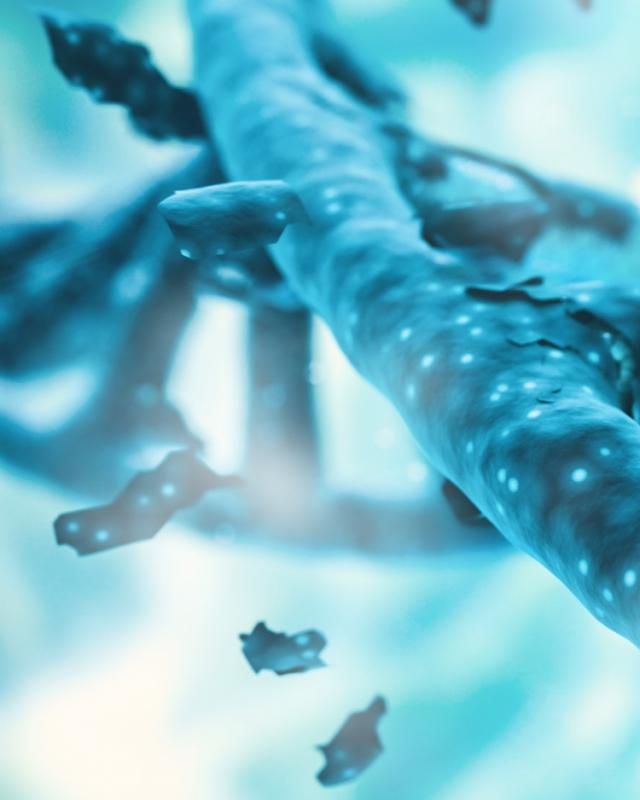 Islamic Ethics and Genomics:  The intersection of science, religion and law