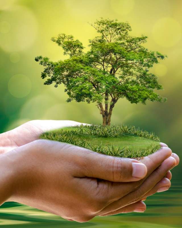 10/2021 Lecture: Environmentalism and the Ecological Question in the Islamic Moral Tradition