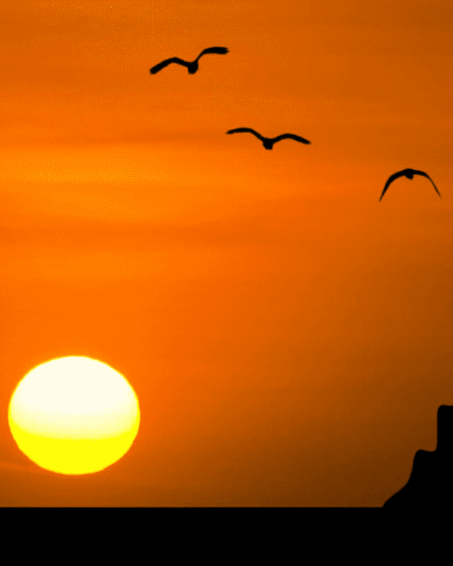 Tips for Comprehensive Excellence in Ramadan during COVID-19