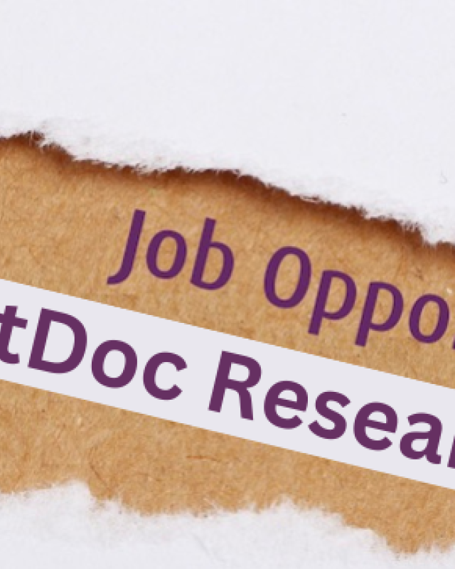 Job Opportunity: PostDoc Researcher