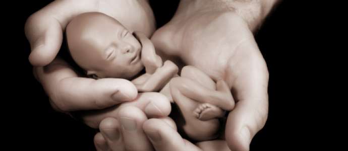 Induced Abortion: Criminal or Just Elective? With Emphasis on Islamic Perspective