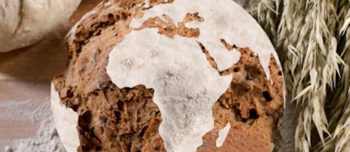 Food Ethics and Islam