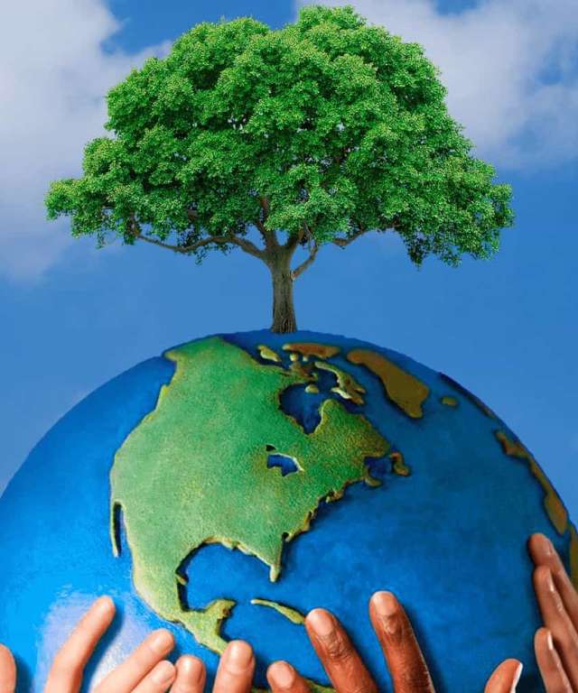 10/2021 Reassembling Creation: Green Ethics (GE) and Scholarly Disciplines in the Islamic Tradition