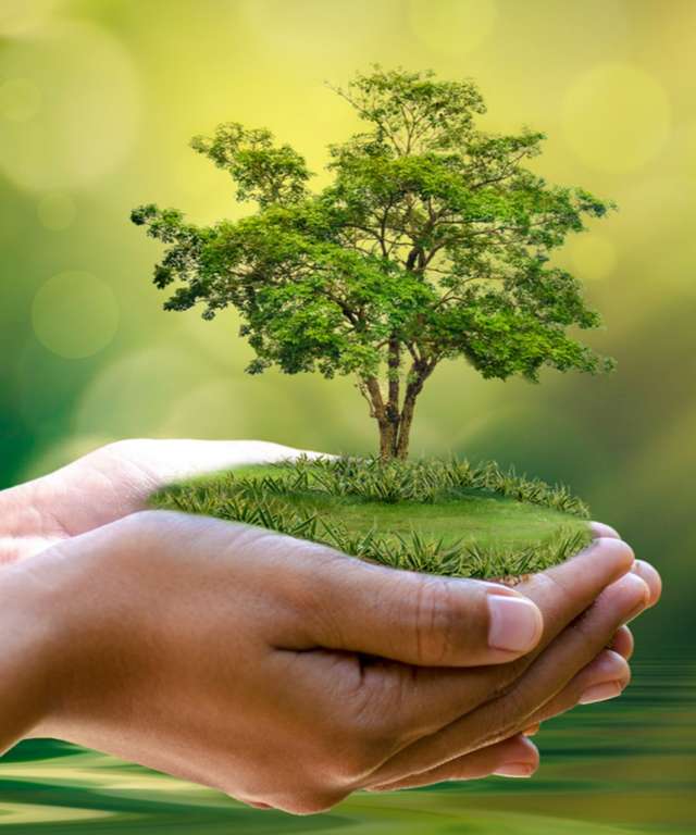 10/2021 Lecture: Environmentalism and the Ecological Question in the Islamic Moral Tradition